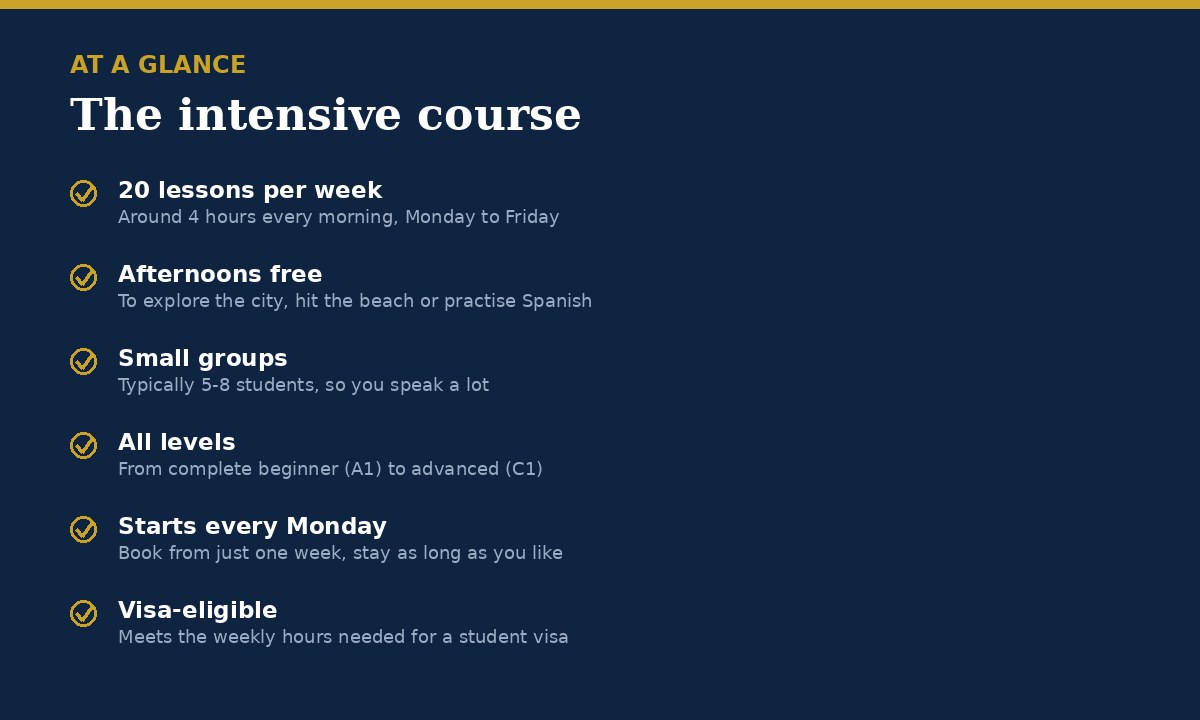 Intensive Spanish course in Valencia at a glance: 20 lessons a week, mornings, small groups, all levels, starts every Monday, visa-eligible