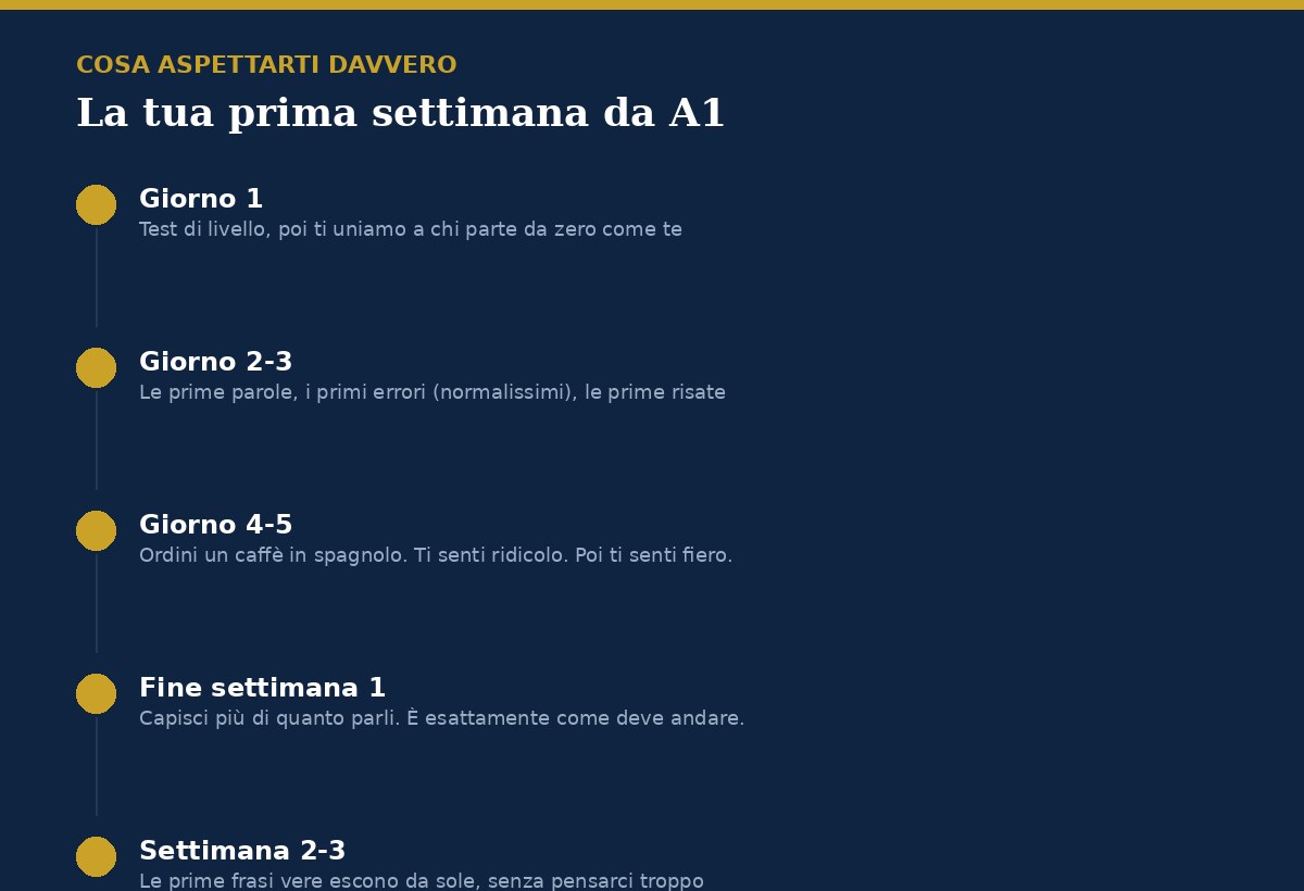 Cosa aspettarti dalla prima settimana di corso di spagnolo per principianti a Valencia, giorno per giorno