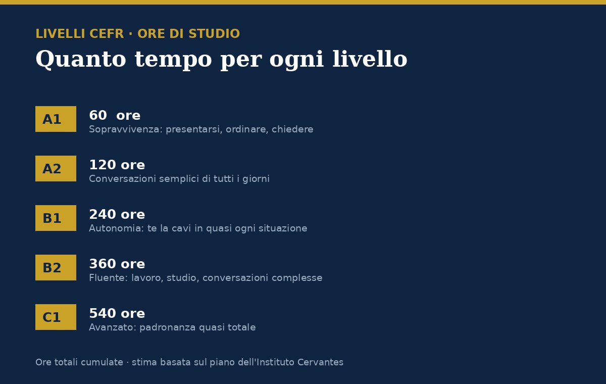Infografica: ore di studio per ogni livello di spagnolo, da A1 (60 ore) a C1 (540 ore)